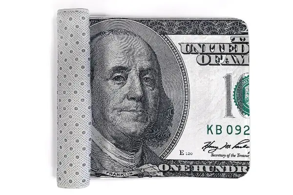 Liten matta 100 dollars sedel